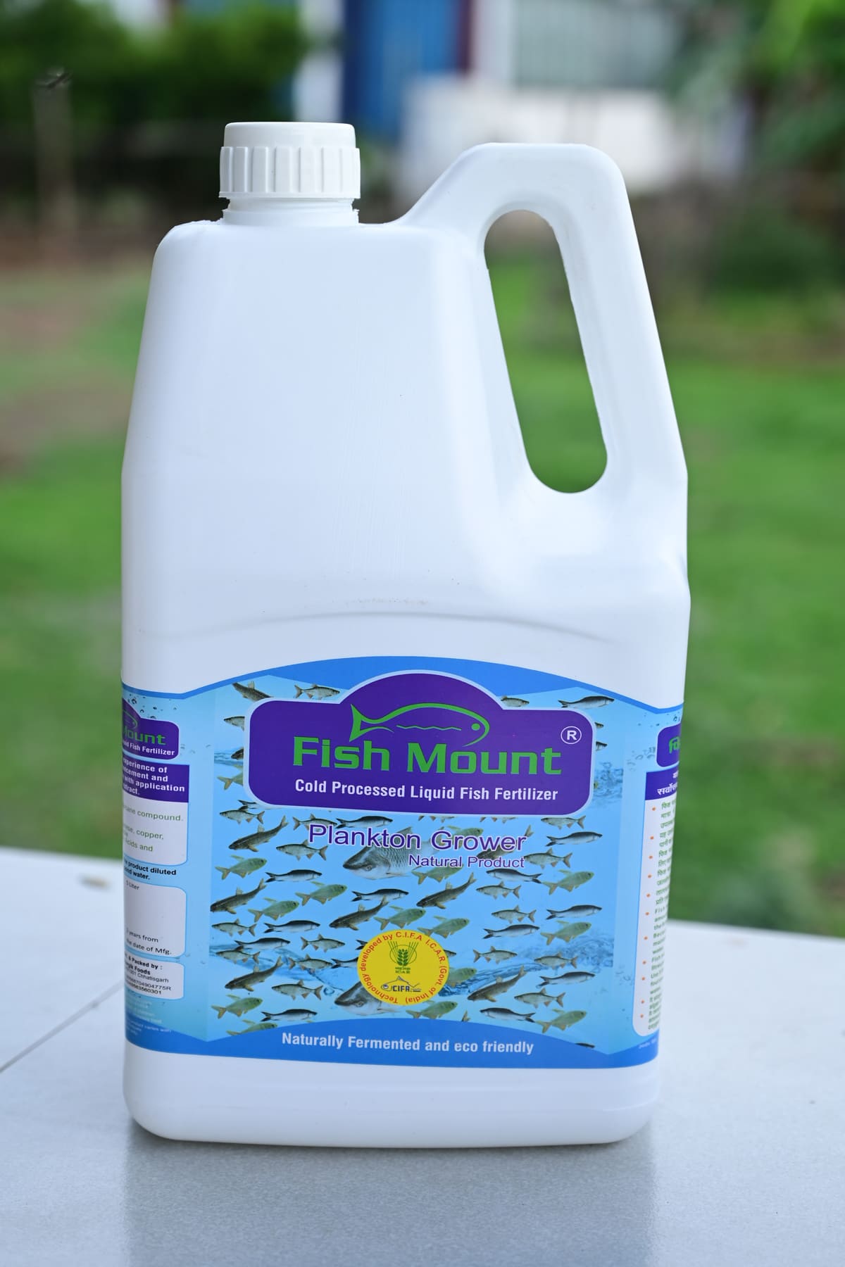 Fish Mount