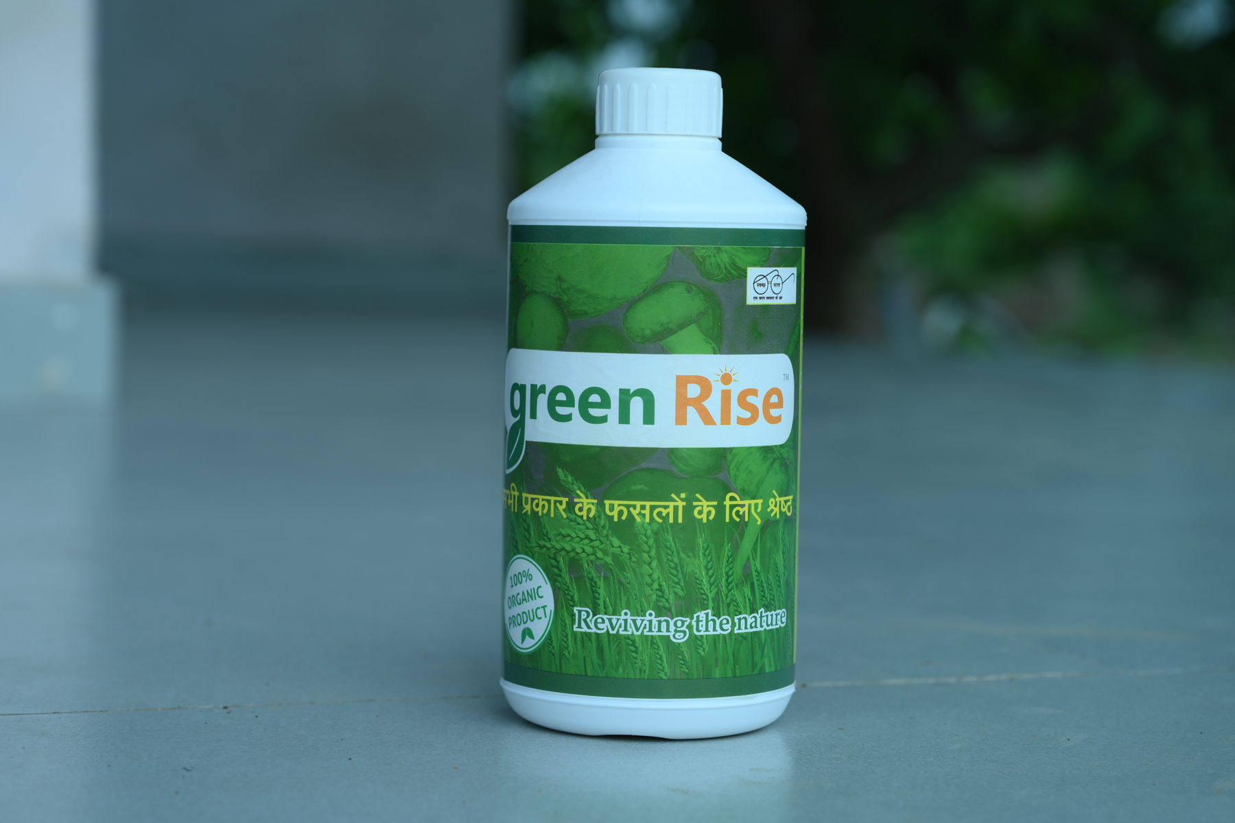Green Rice